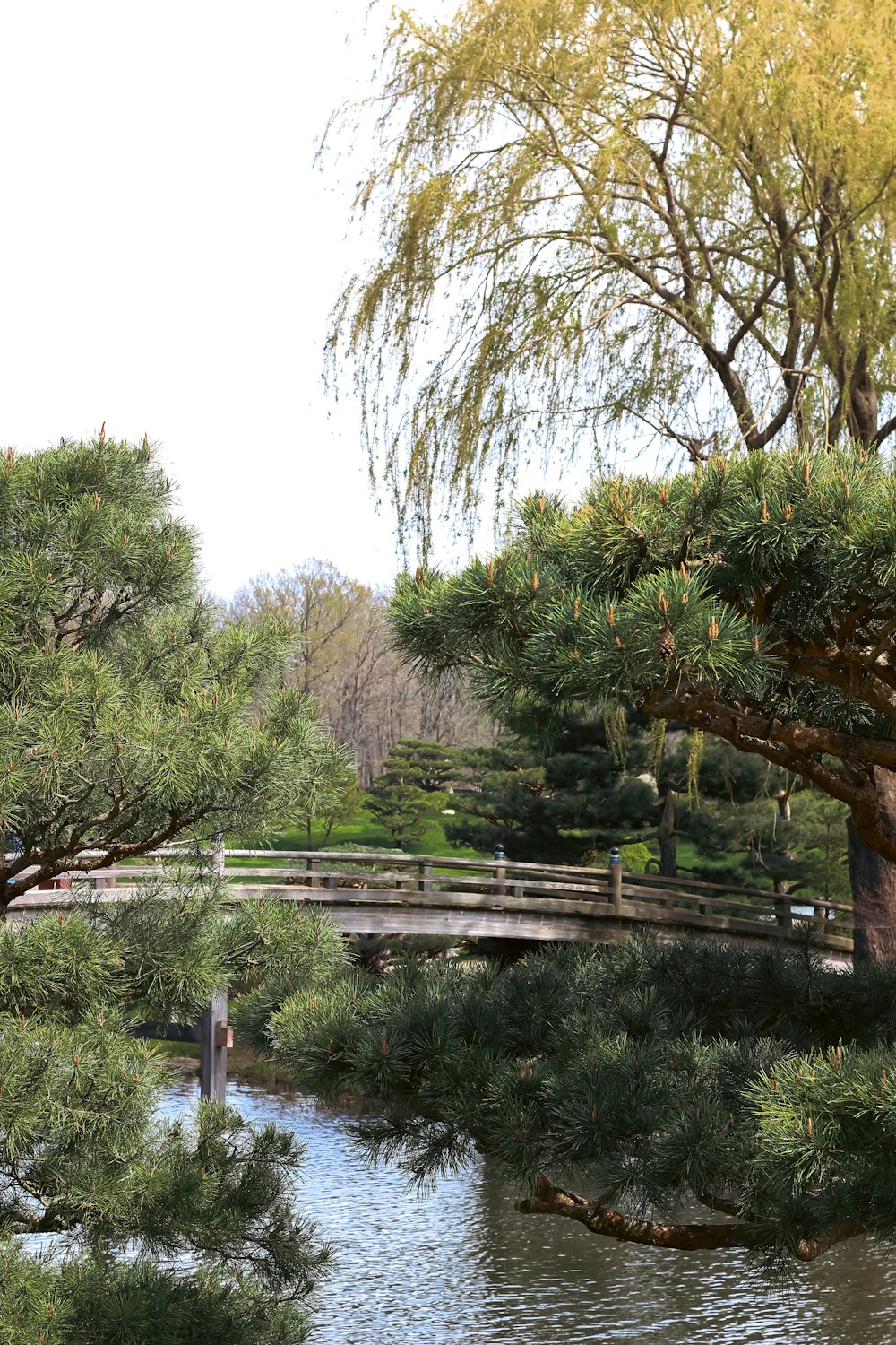 a bridge over a body of water surrounded by trees