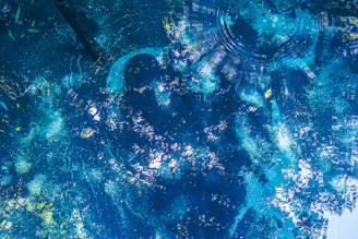 A deep blue Tides suit card shimmering with watery waves and subtle light reflections.