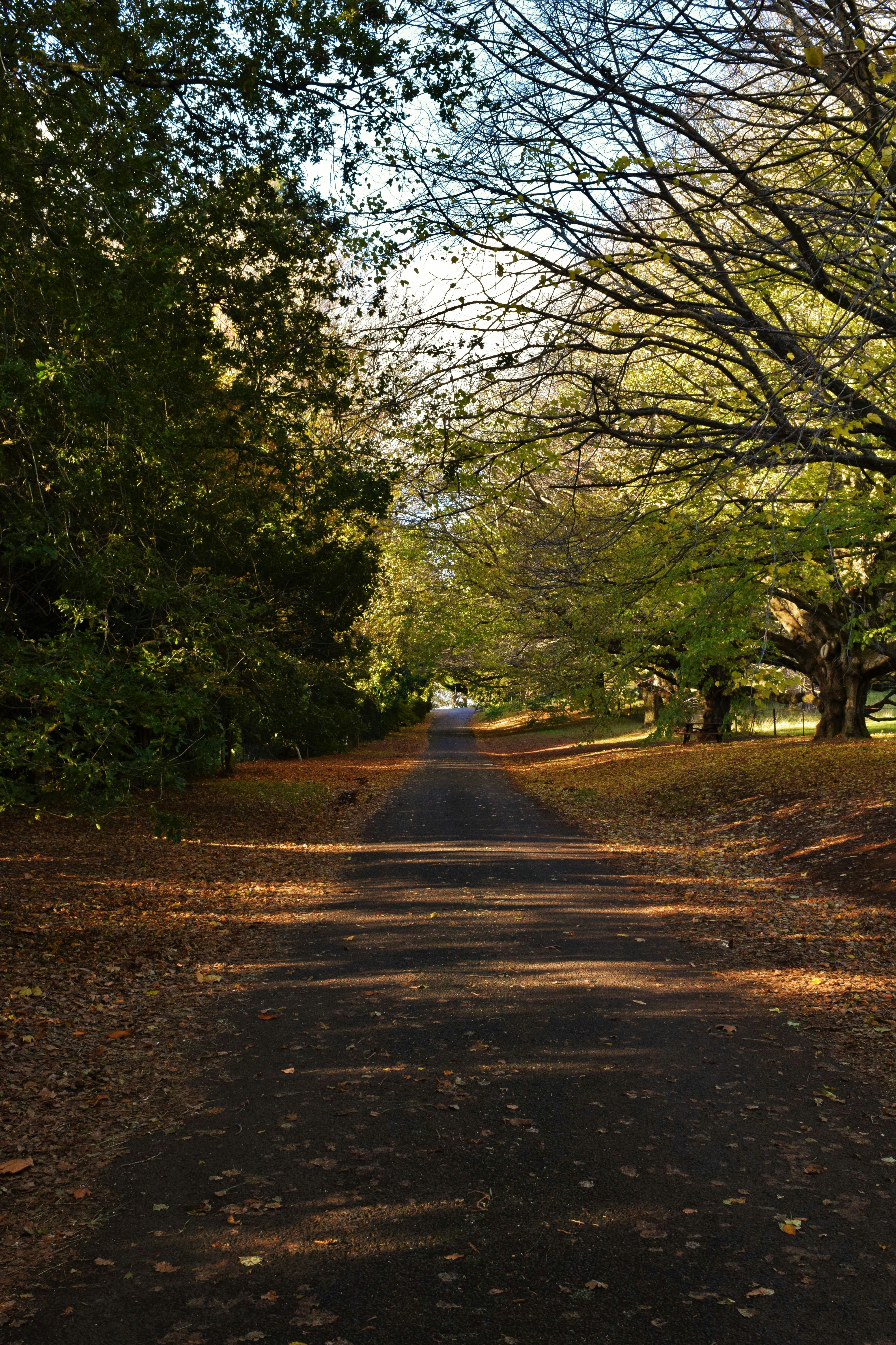 Photo by ch_photography