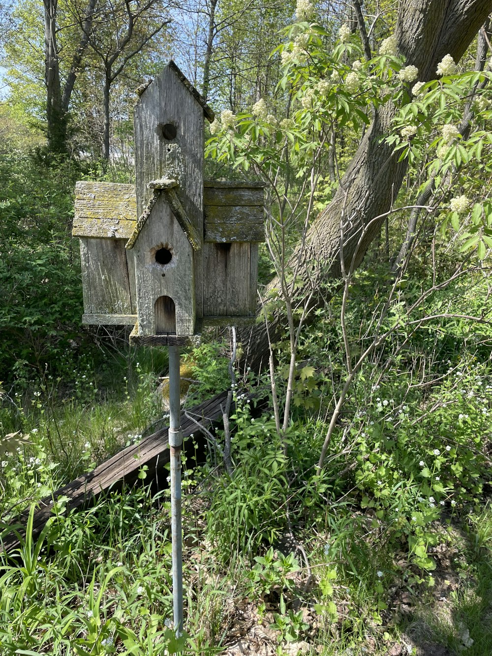 a bird house in the middle of a forest