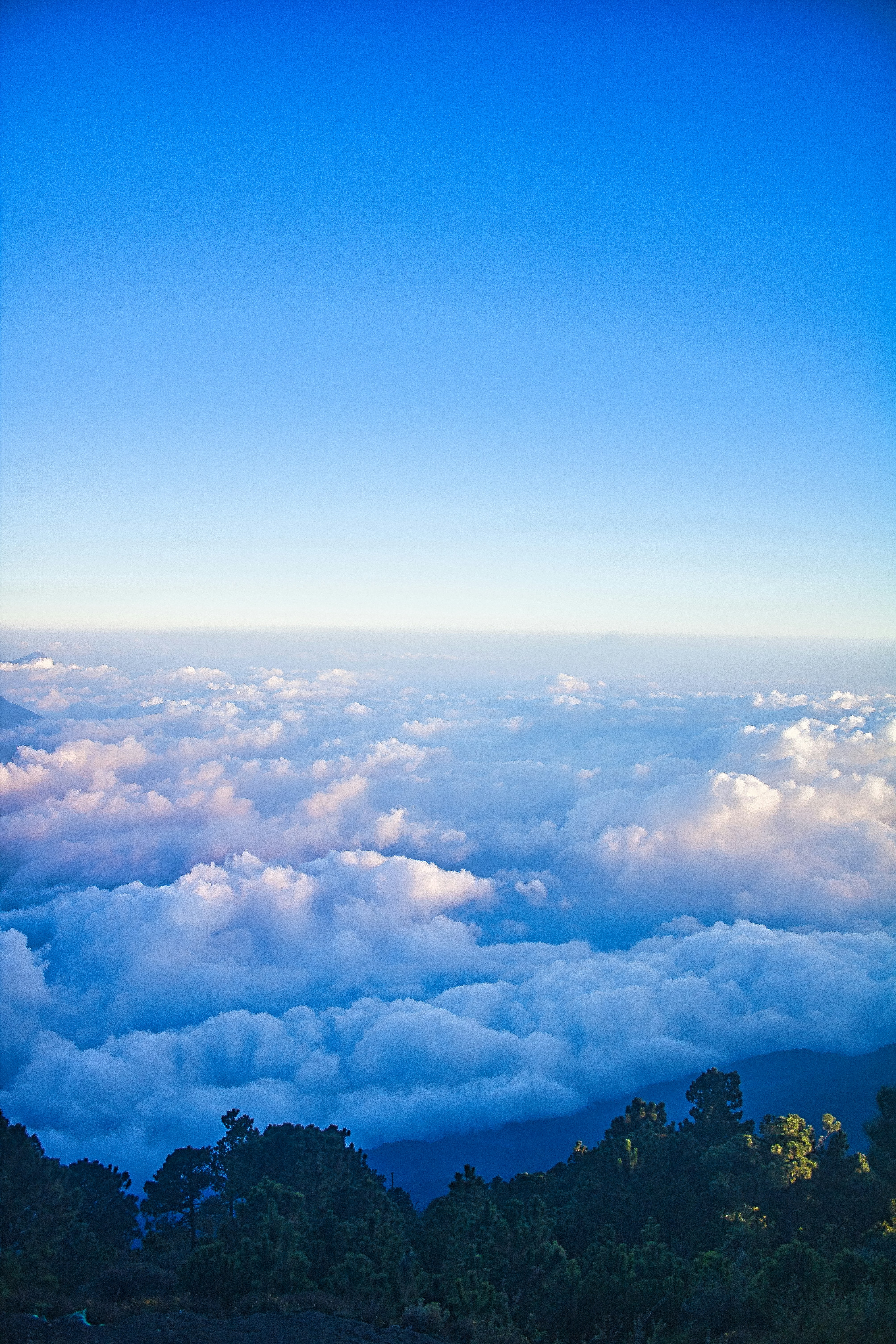 Photo by daniel_castellon20