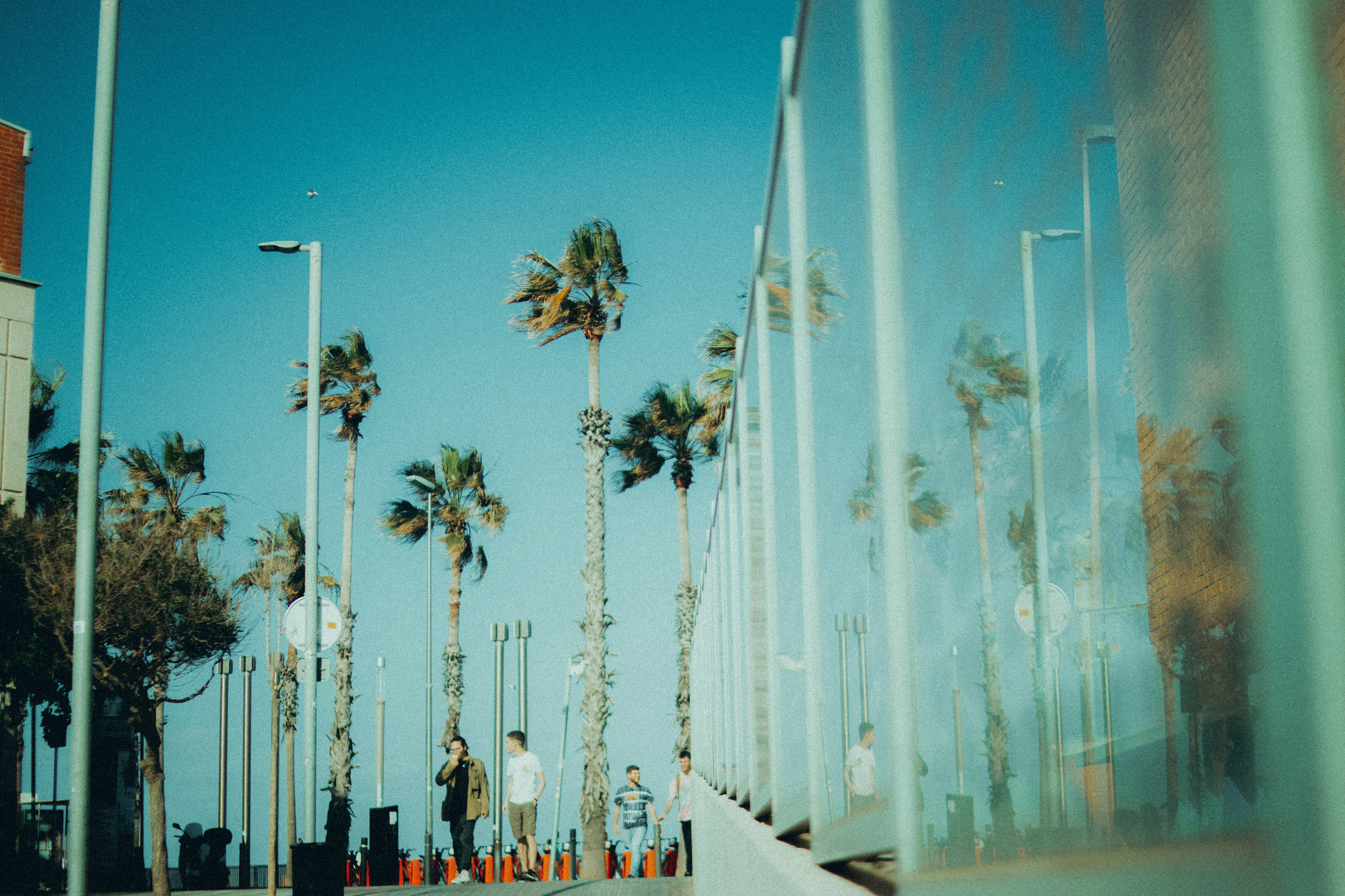 Photo by gringophoto