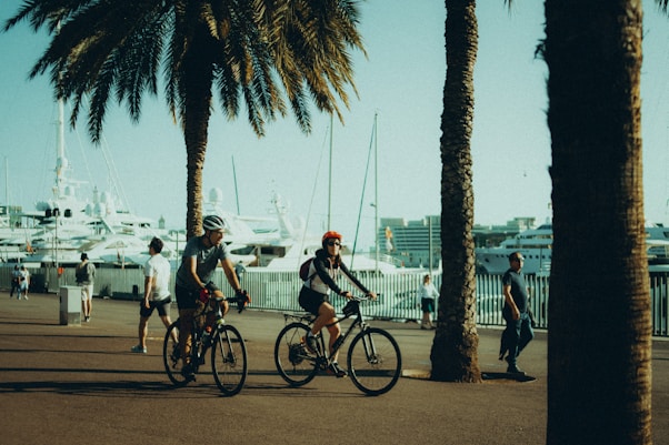 a group of people riding bikes down a street next to palm trees