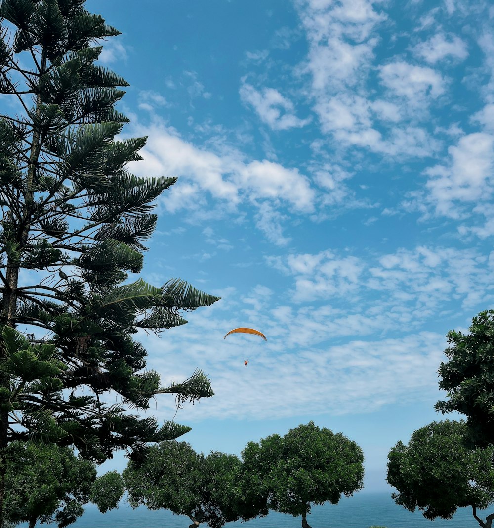 a parasailer is flying over a grassy field