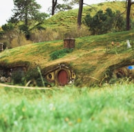 A picturesque scene of a grassy hillside featuring hobbit-like homes with round wooden doors built into the earth. Lush greenery surrounds the area with trees providing shade and a peaceful ambiance. Laundry is seen hanging on a line, adding to the homely atmosphere.