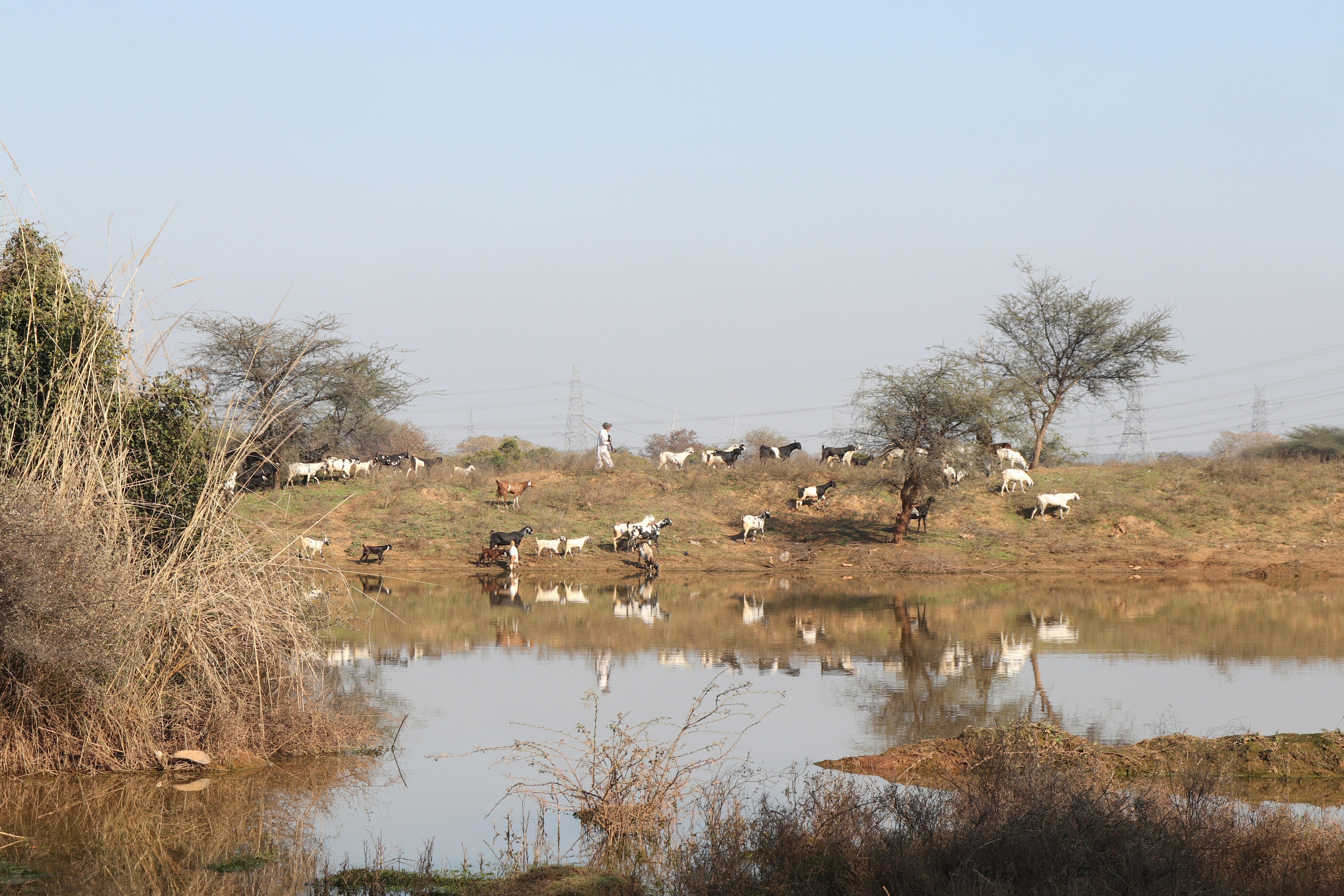Kasane, Botswana (Chobe’s quiet neighbor) - None