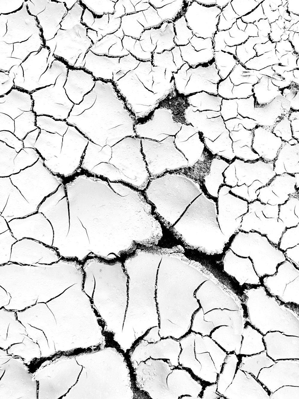 a black and white photo of a cracked surface