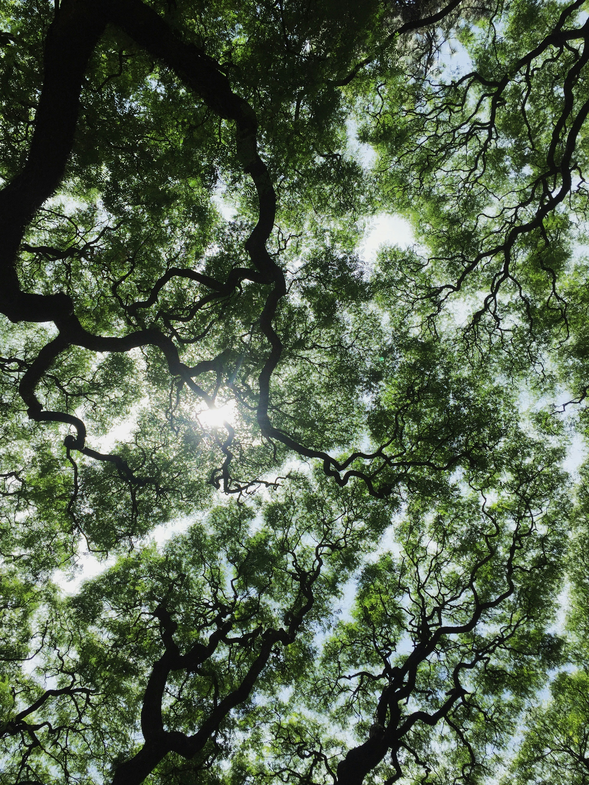 Photo by julianbklein