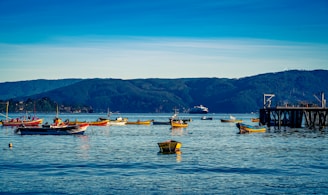 a group of boats floating on top of a large body of water