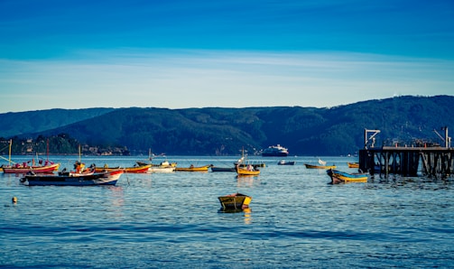 a group of boats floating on top of a large body of water