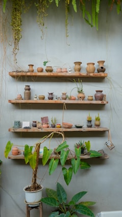 Indoor plant display on wooden shelves with terracotta pots and hanging greenery under natural light