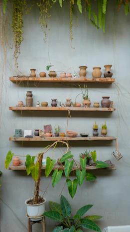 Rows of freshly crafted pottery pieces drying gently on wooden shelves surrounded by green plants.
