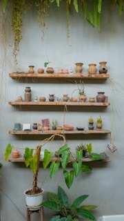 Rows of wooden shelves mounted on a wall, displaying various small clay pots and vases with distinct shapes and sizes. Several potted plants with large green leaves are positioned at the bottom, while trailing plants hang from the top, creating a natural and earthy aesthetic.