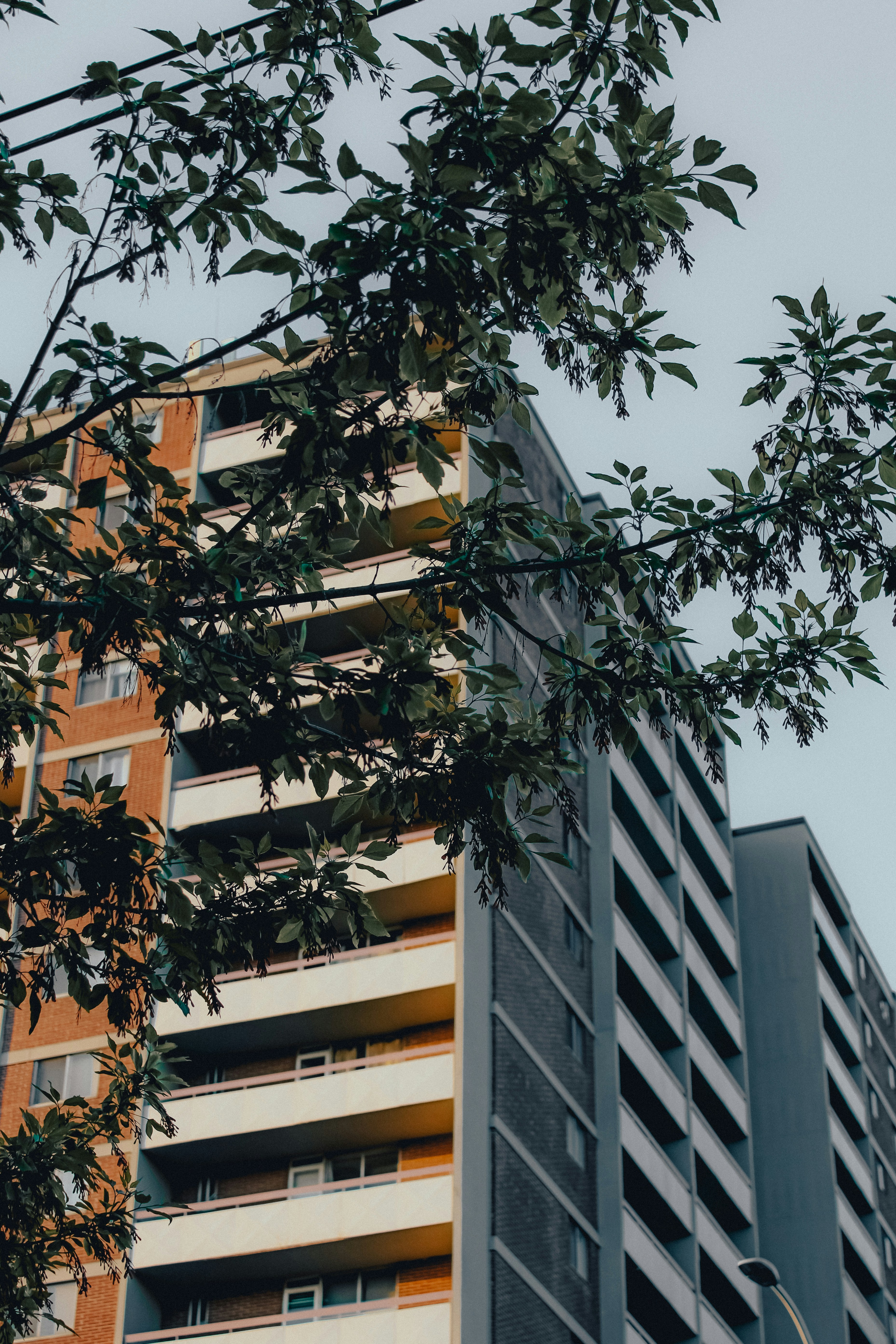 Photo by linusbelanger