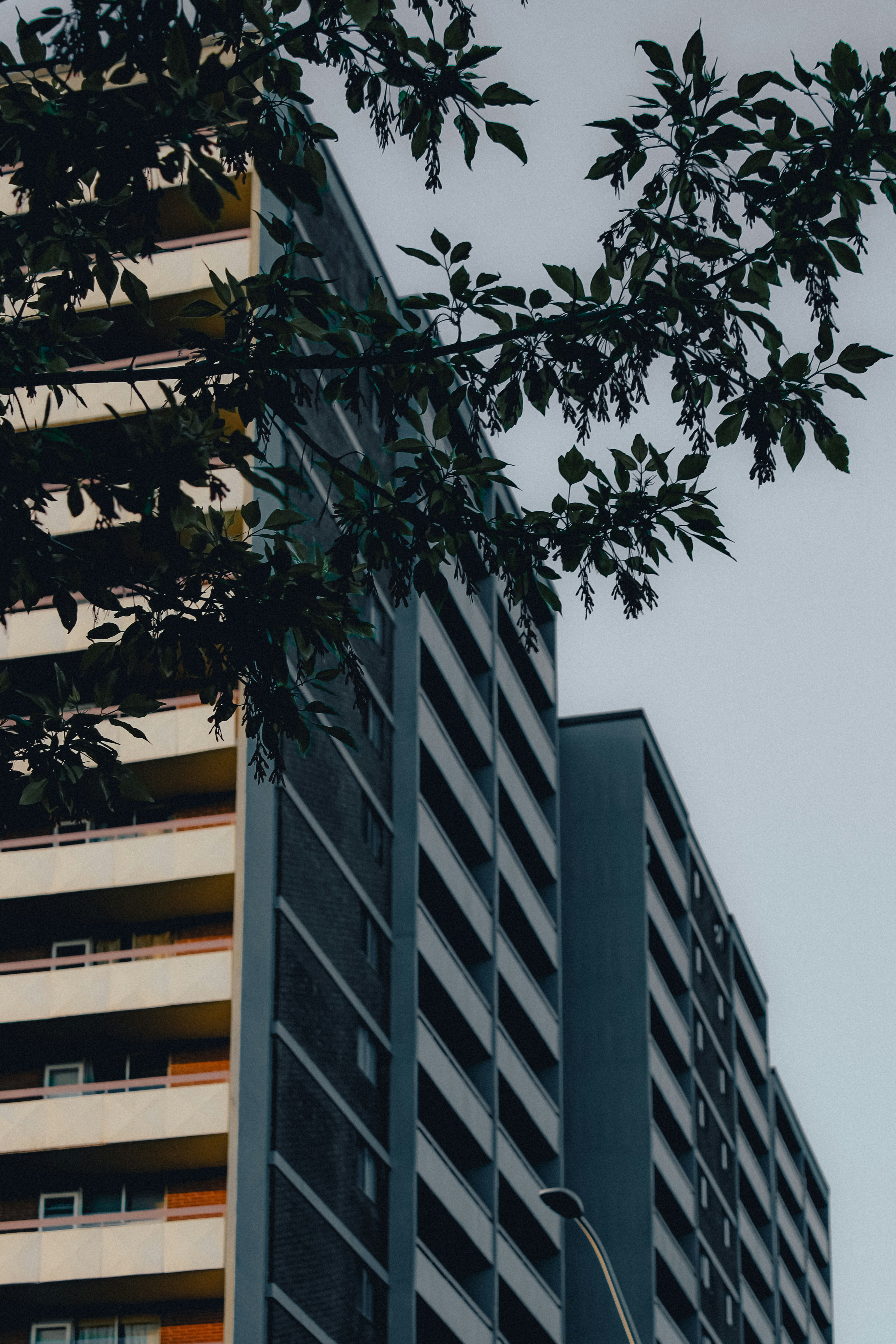 Photo by linusbelanger