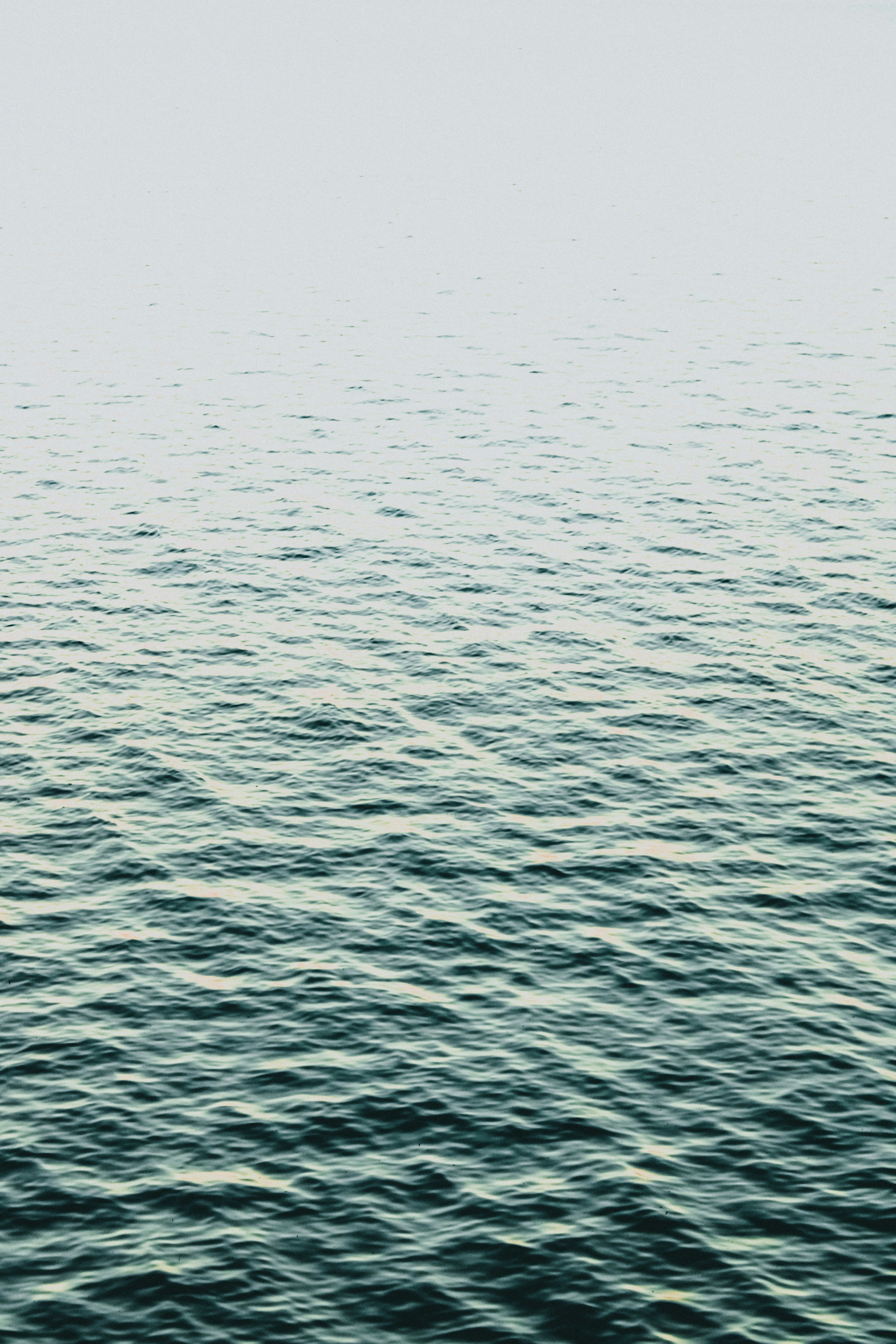 Photo by linusbelanger