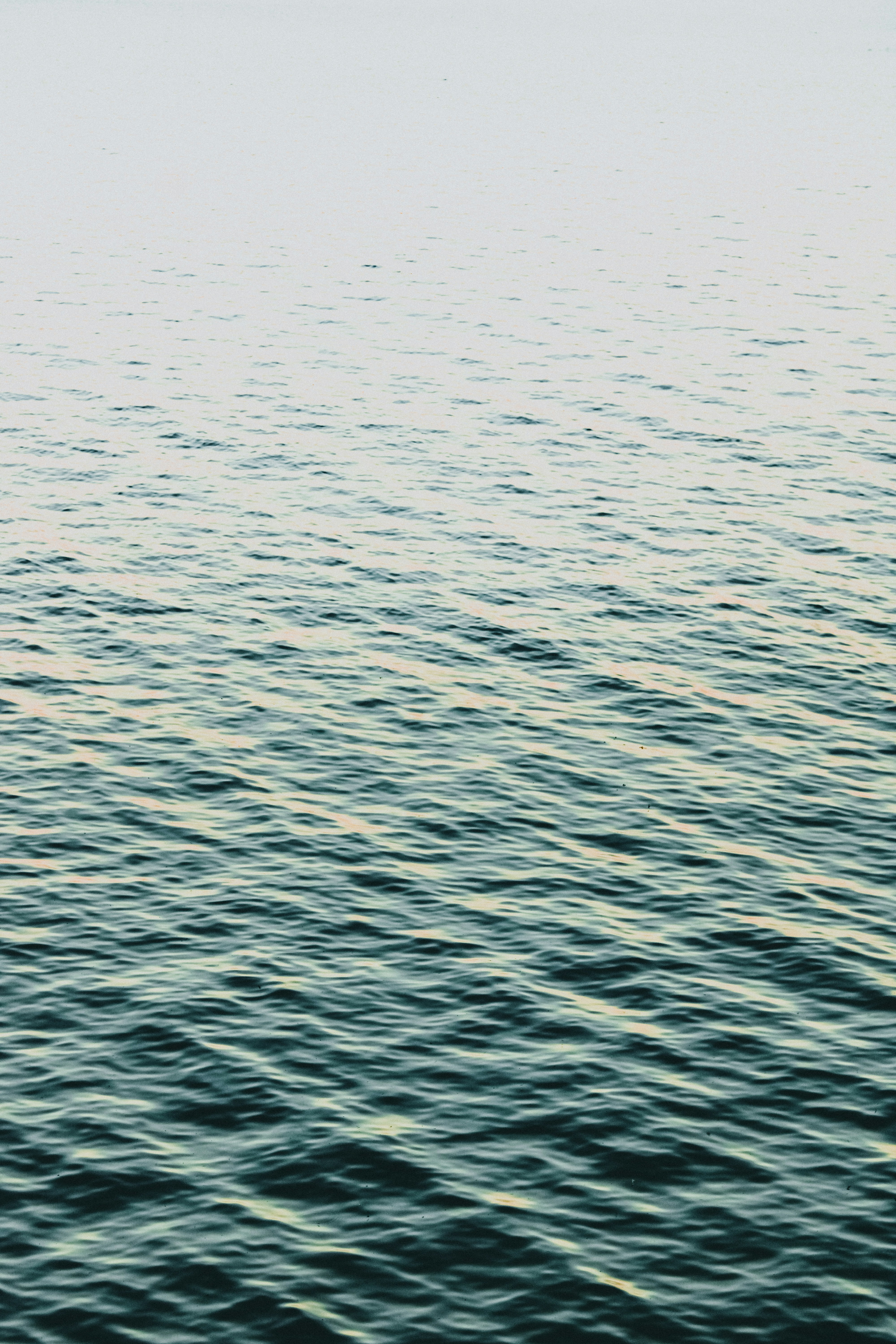 Photo by linusbelanger