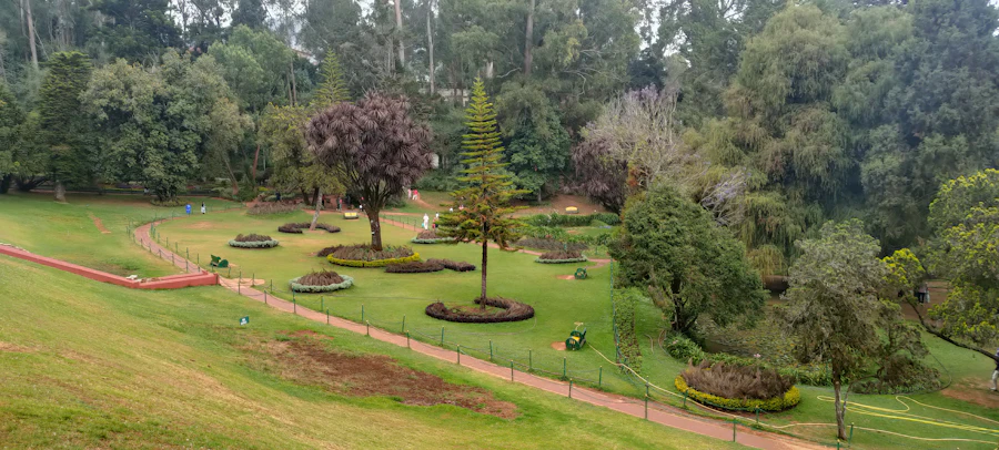 Terraced botanical garden at dawn, fog drifting through rose beds and topiary hedges, distant hills barely visible through mist