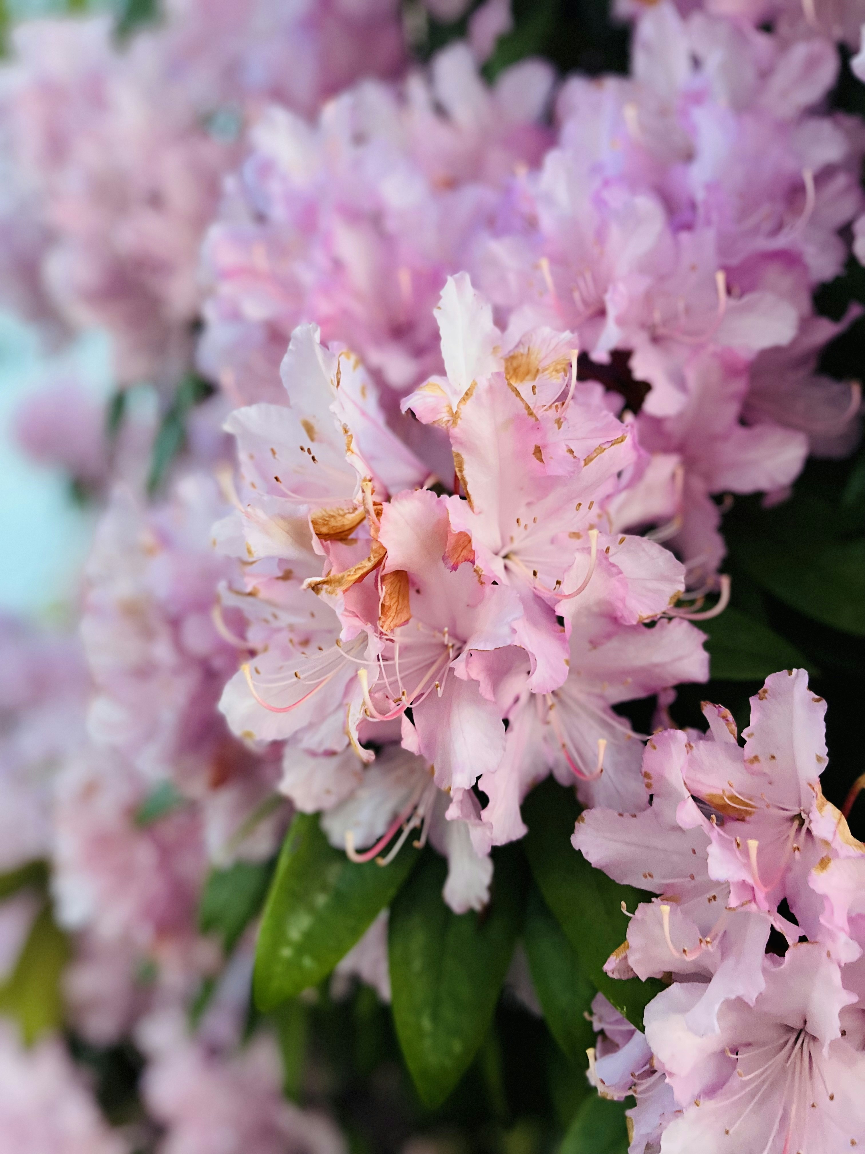 Photo by harnoorgill