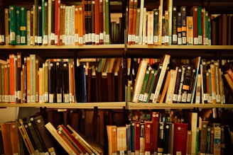 A library shelf filled with various books organized upright. The covers and spines are of diverse colors and sizes, with many having labeled tags. The lighting creates a warm and inviting atmosphere, suitable for reading or study.