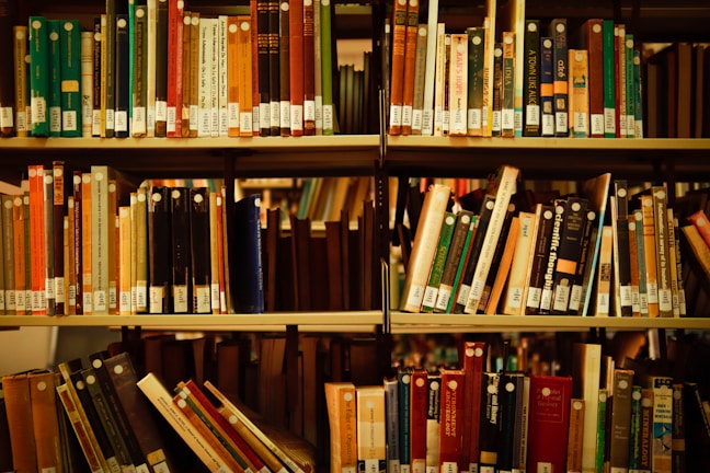 A library shelf filled with various books organized upright. The covers and spines are of diverse colors and sizes, with many having labeled tags. The lighting creates a warm and inviting atmosphere, suitable for reading or study.