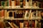 A library shelf filled with various books organized upright. The covers and spines are of diverse colors and sizes, with many having labeled tags. The lighting creates a warm and inviting atmosphere, suitable for reading or study.