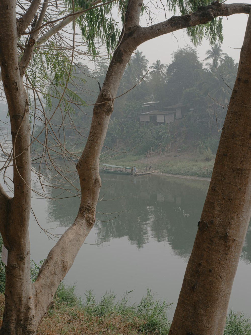 a body of water surrounded by trees on a foggy day