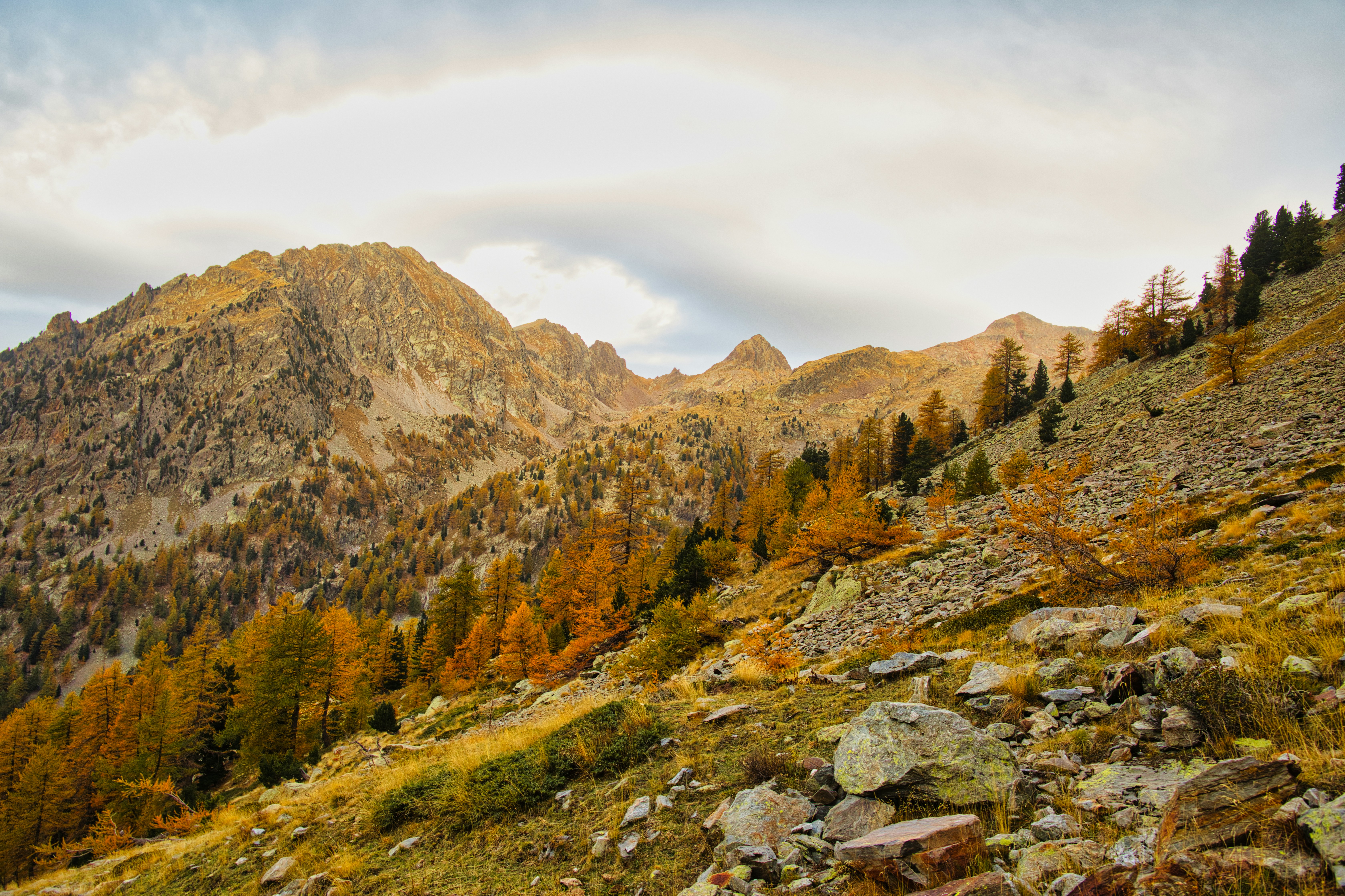 Photo by gaetanthurin