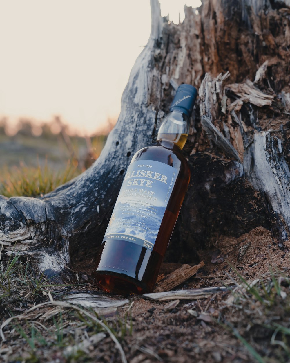 a bottle of whiskey sitting next to a tree stump