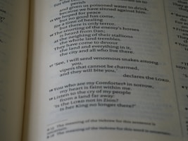 A close-up view of a page from a Bible, displaying text with a focus on specific verses. The text is in a serif font, printed in black on white paper. The page is slightly tilted, and the lighting casts subtle shadows, adding depth to the text.