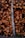 A large stack of neatly arranged, cut tree logs with various sizes and a single birch trunk leaning against them. The logs display rich brown and orange tones from the cut sections, while the birch trunk stands out with its light color and distinctive bark pattern.