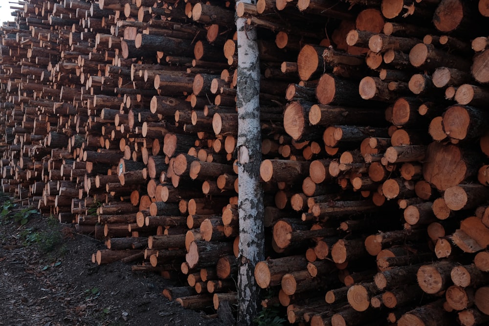 a pile of logs stacked on top of each other