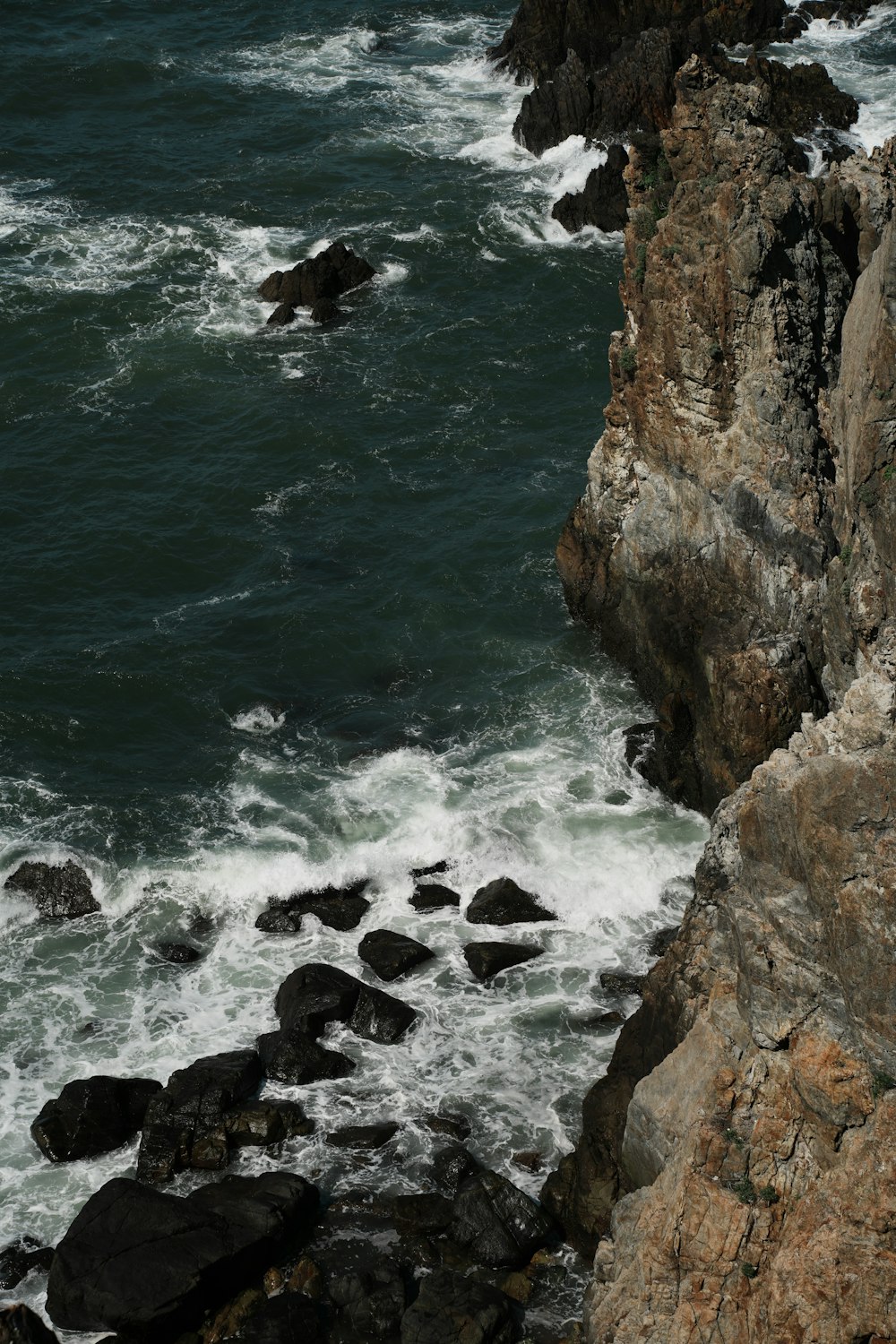 a bird sitting on a rock near the ocean