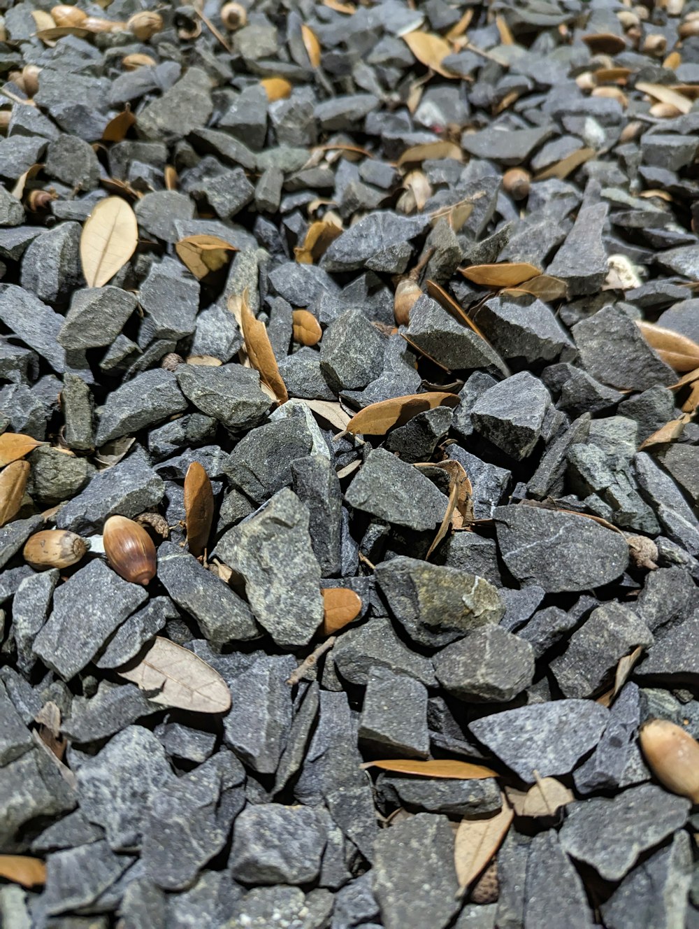 a pile of rocks with leaves on top of it