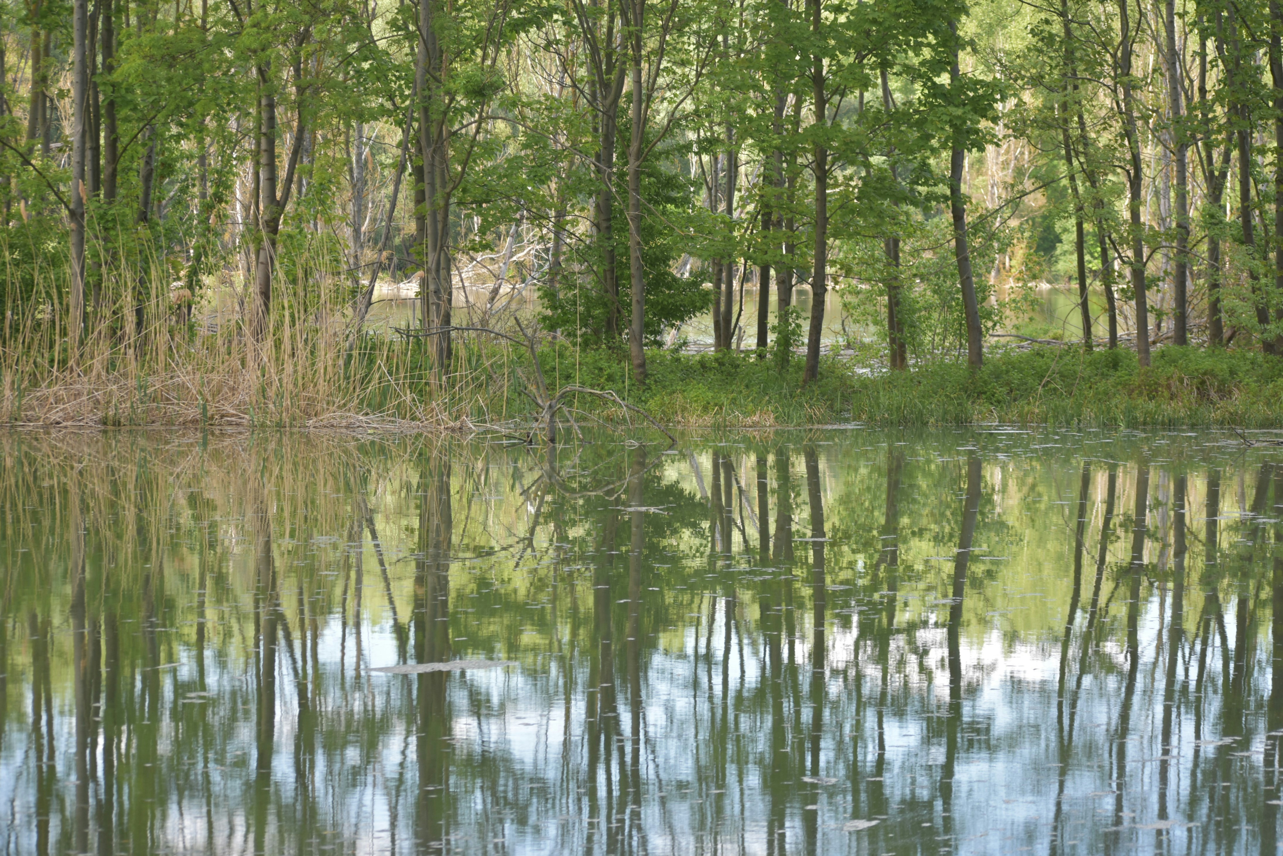 Photo by oxganggreen