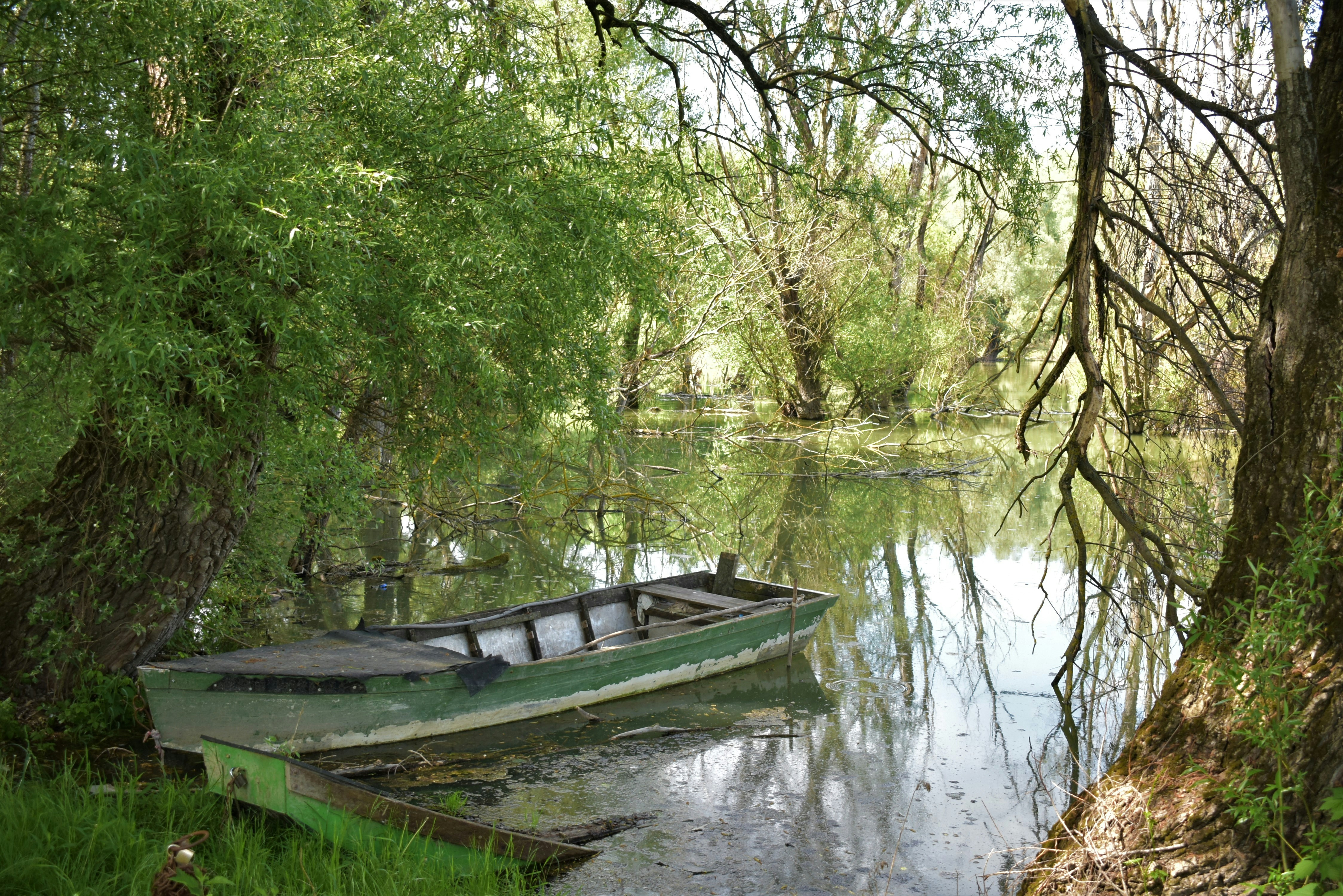 Photo by oxganggreen