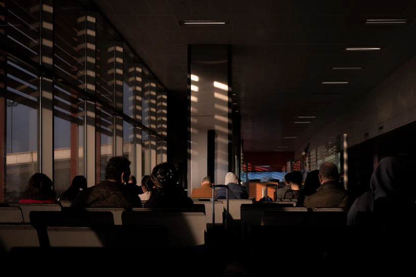 A calm veterinary clinic waiting room with soft lighting and comfortable seating.