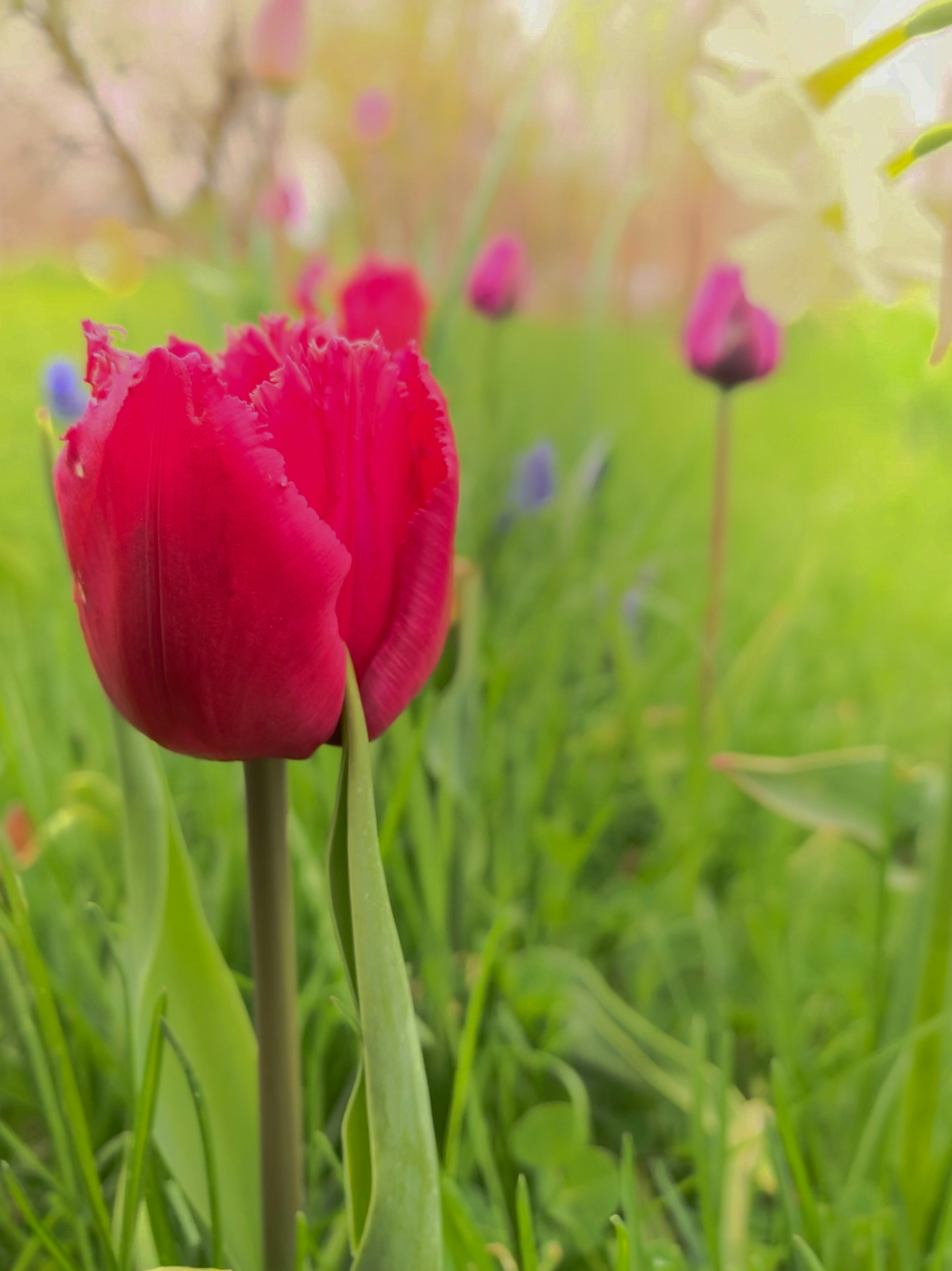 Photo by aryanspixel