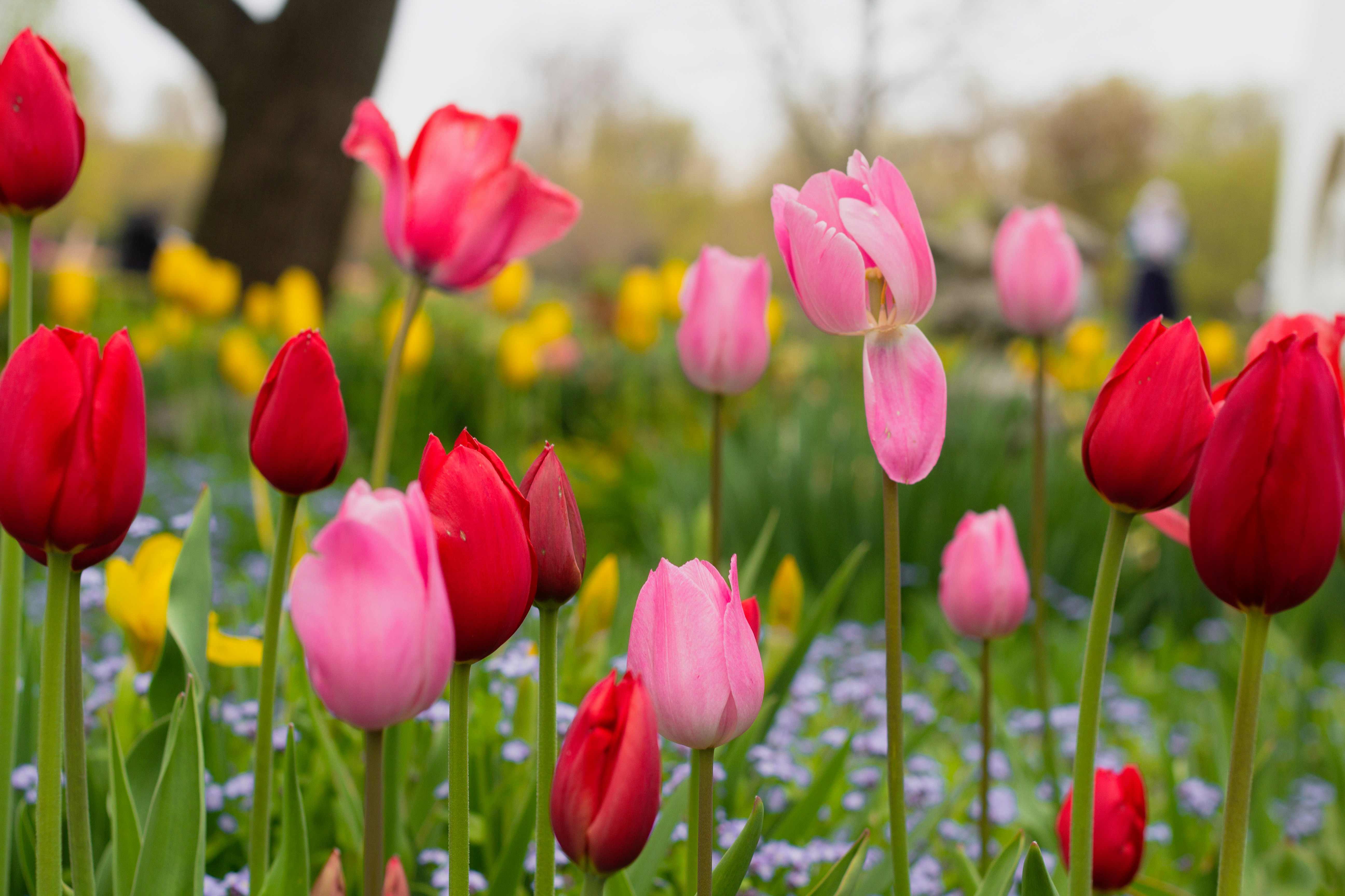 Photo by aryanspixel