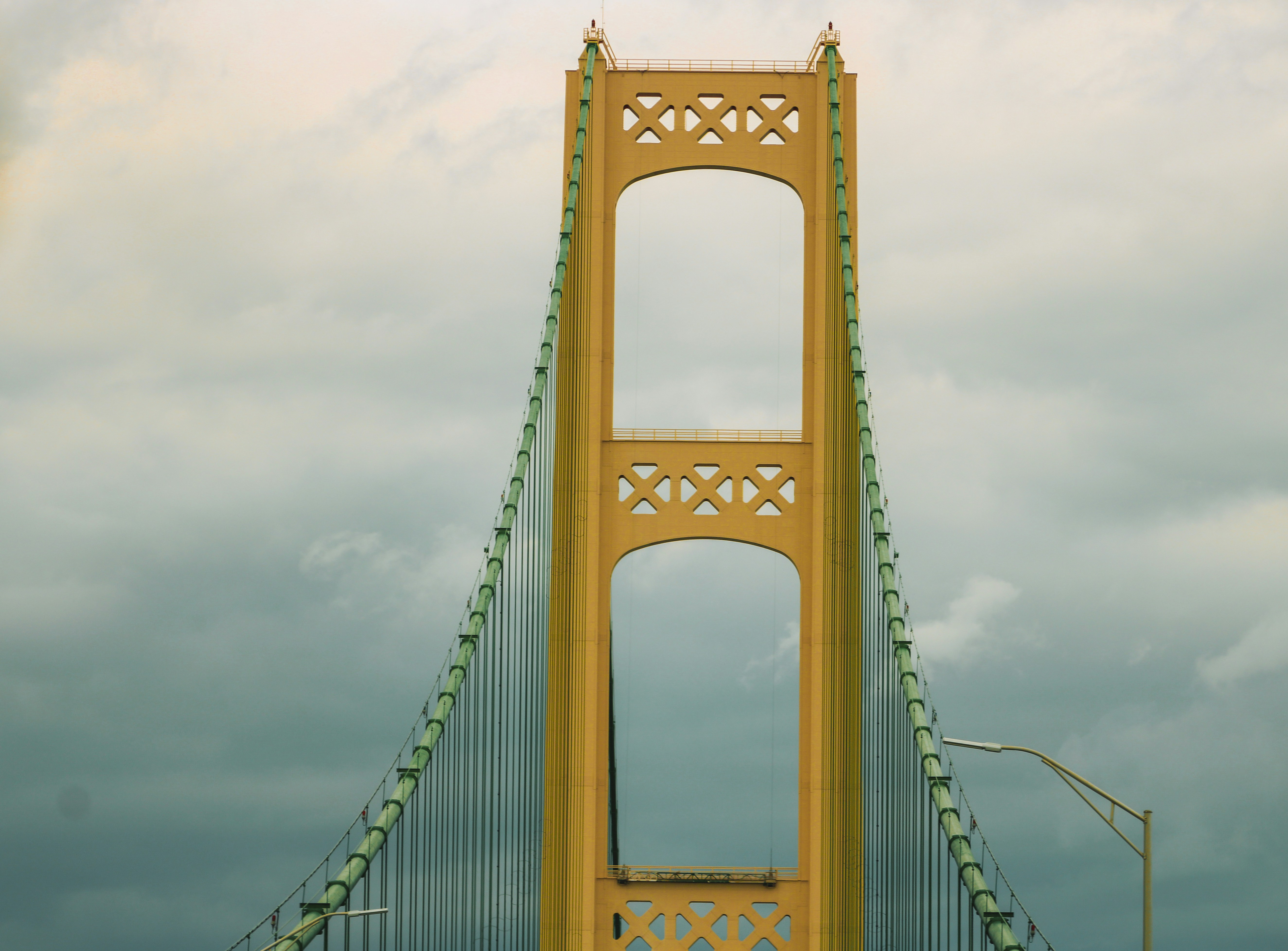 Photo by aryanspixel