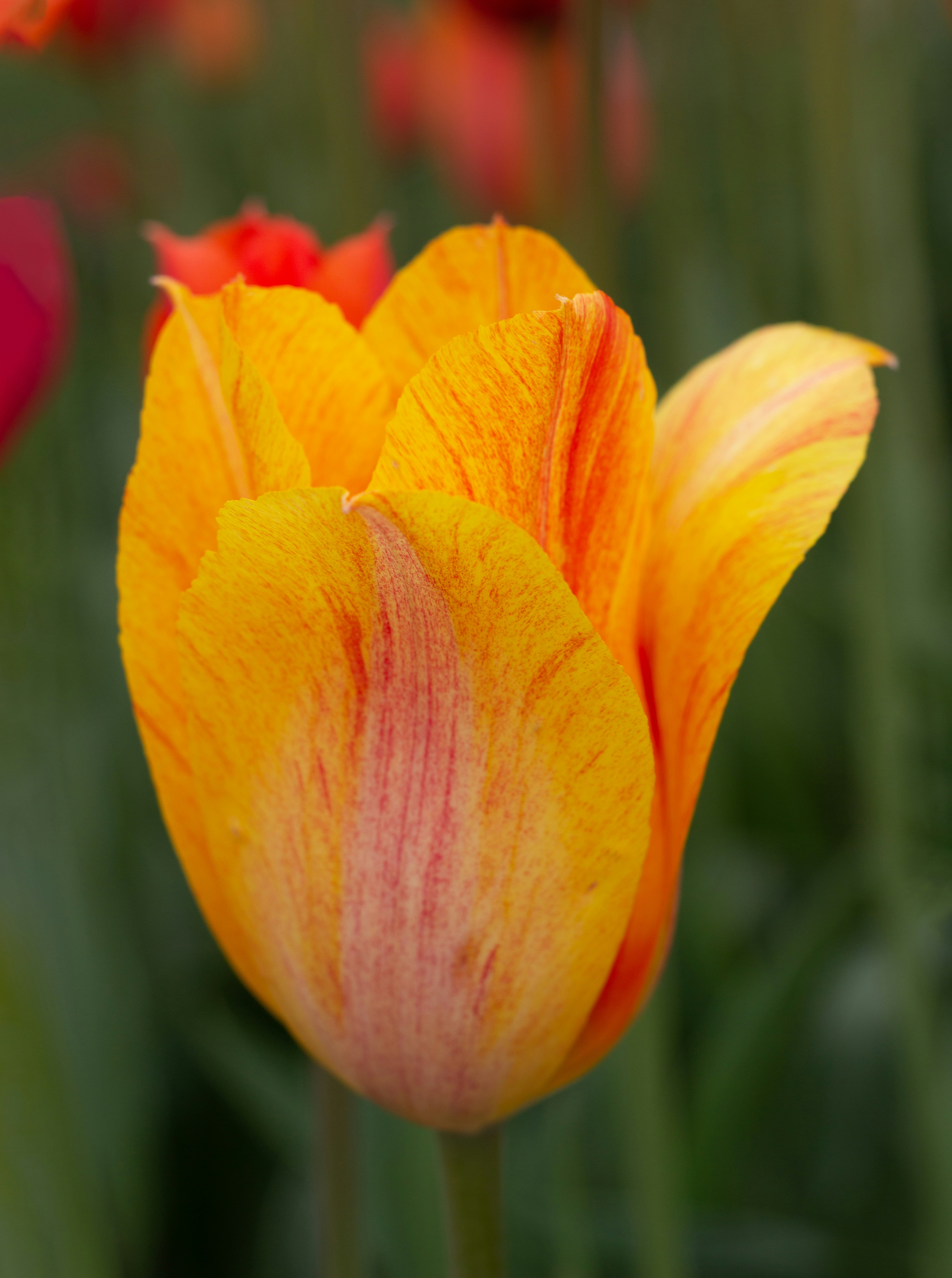 Photo by aryanspixel