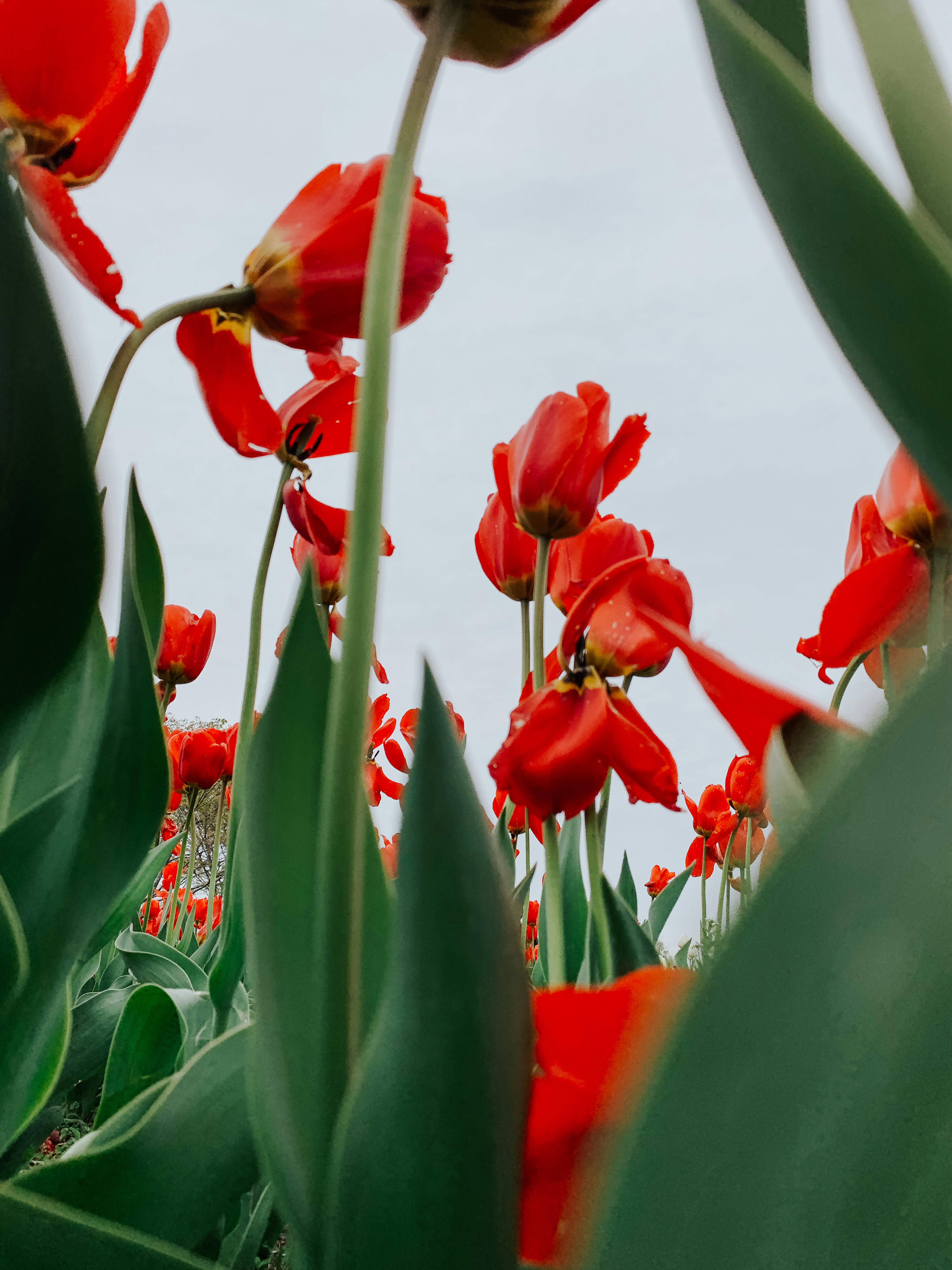 Photo by aryanspixel