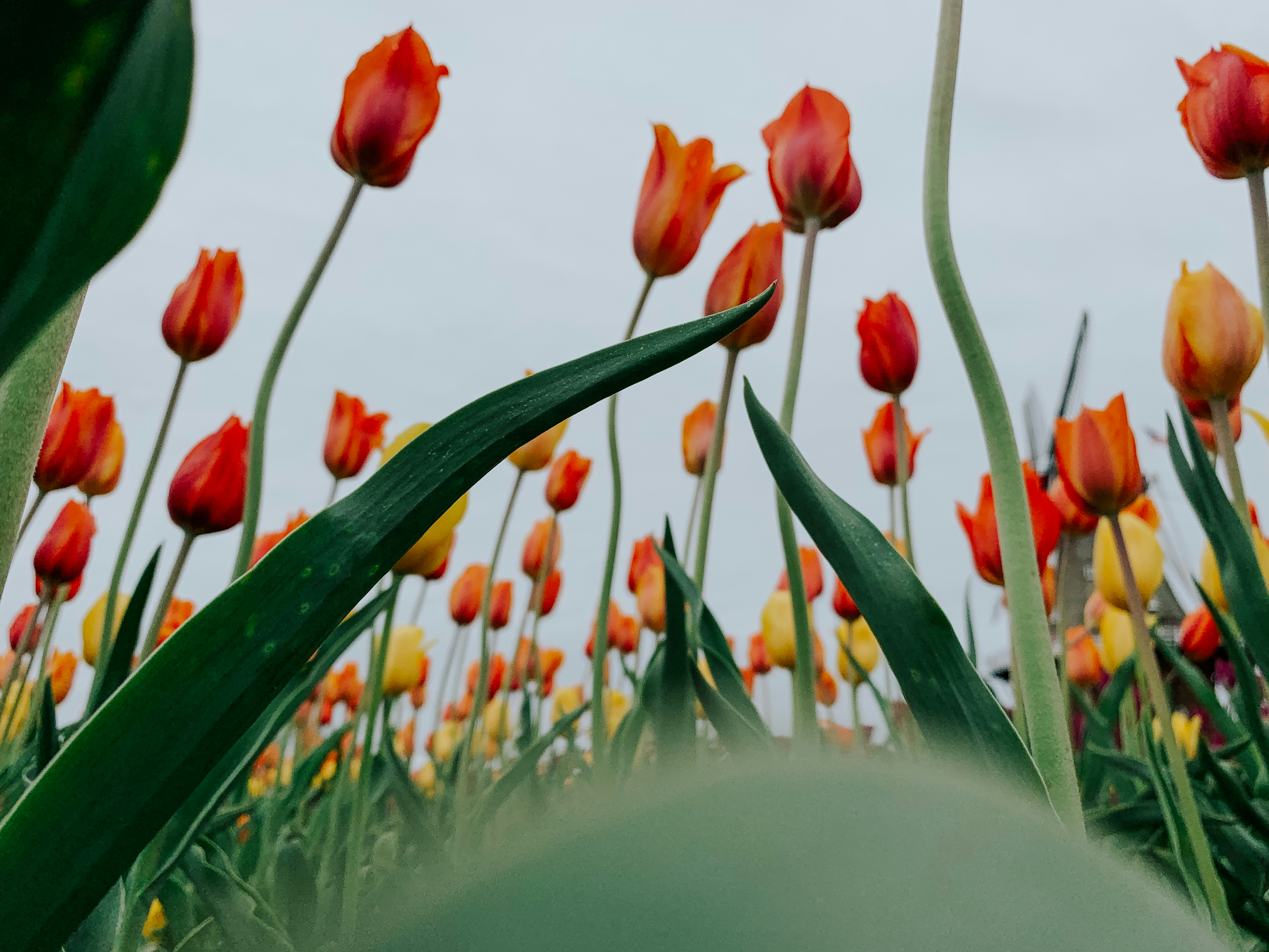 Photo by aryanspixel