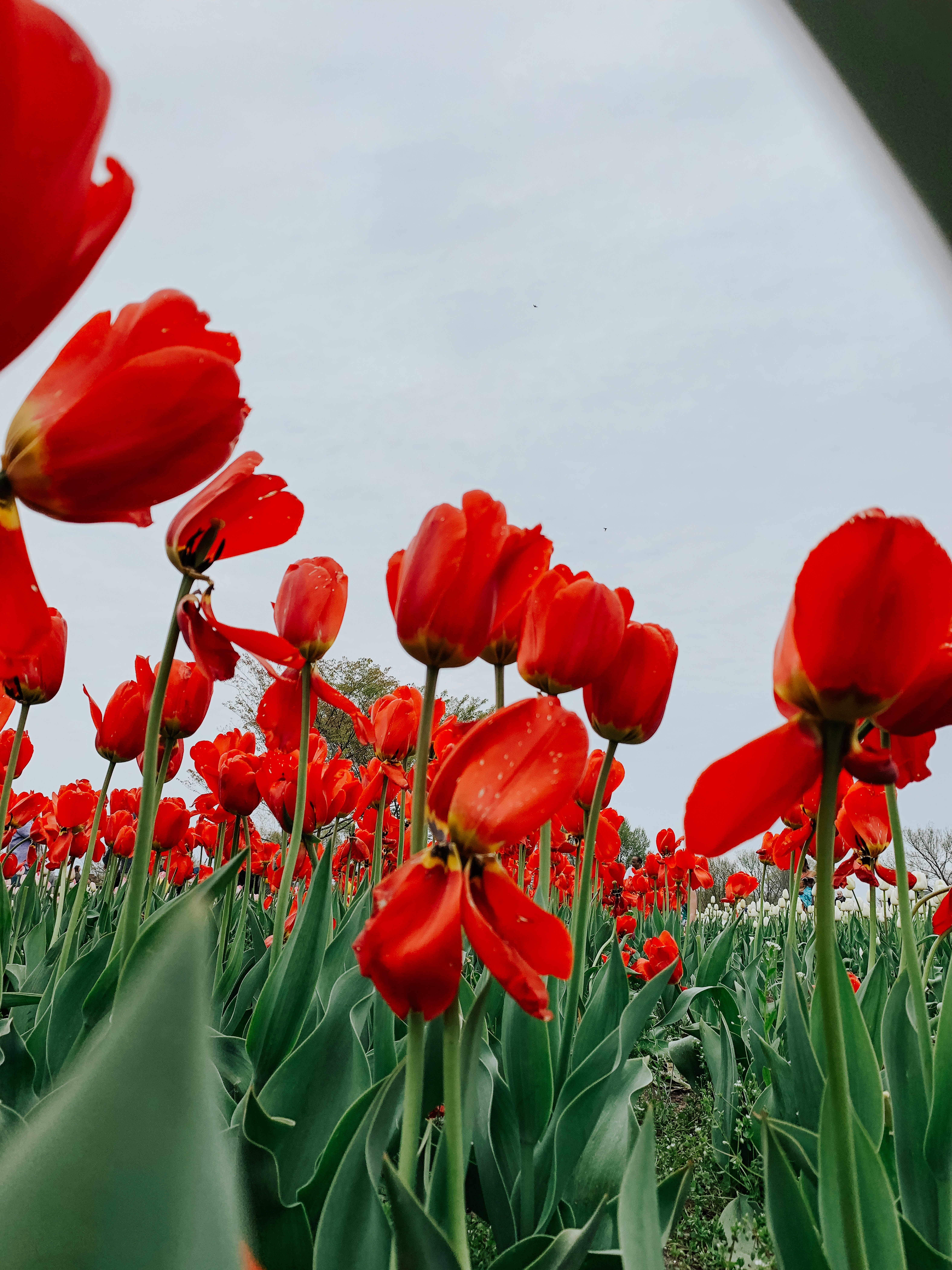 Photo by aryanspixel