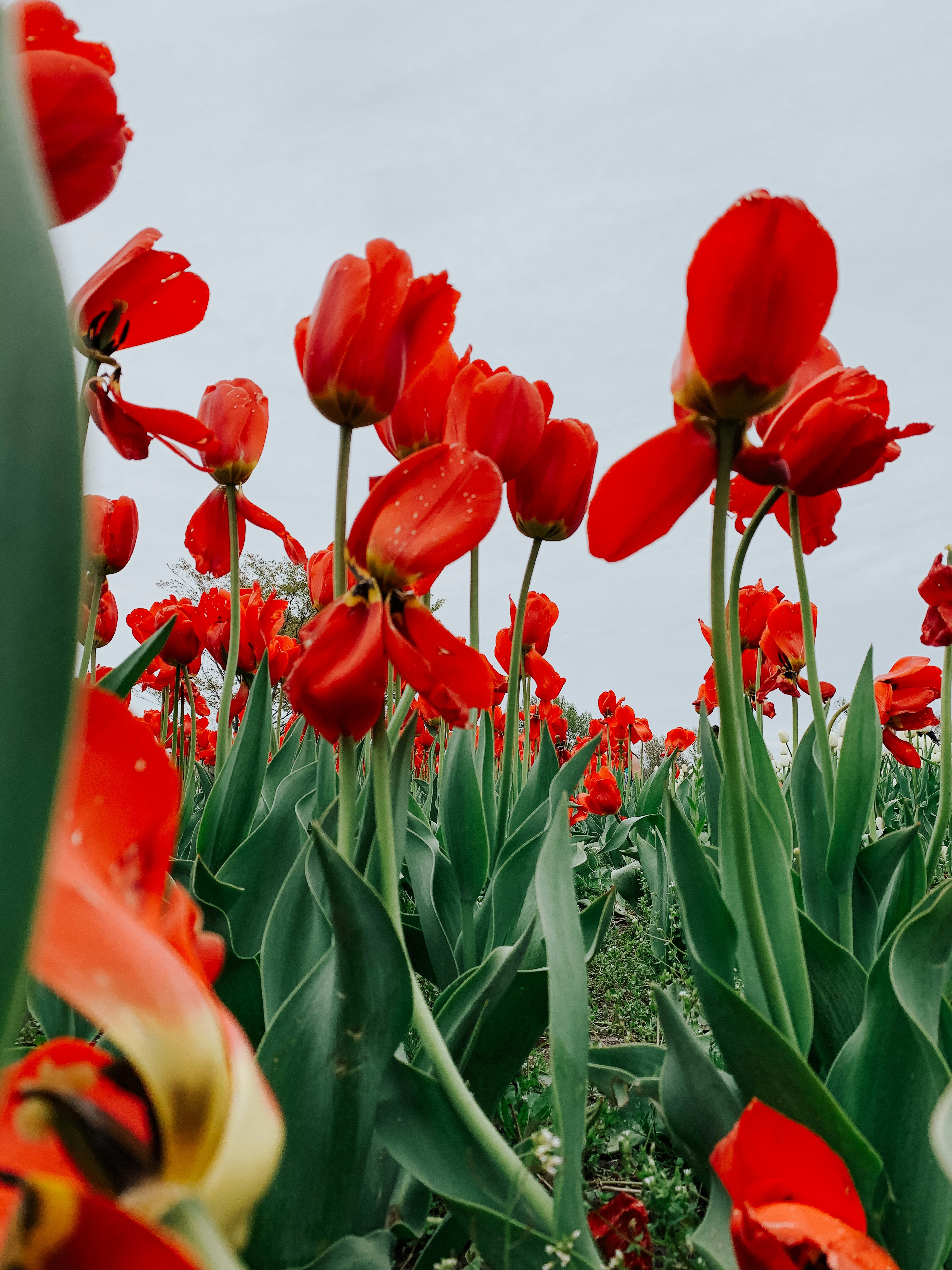 Photo by aryanspixel