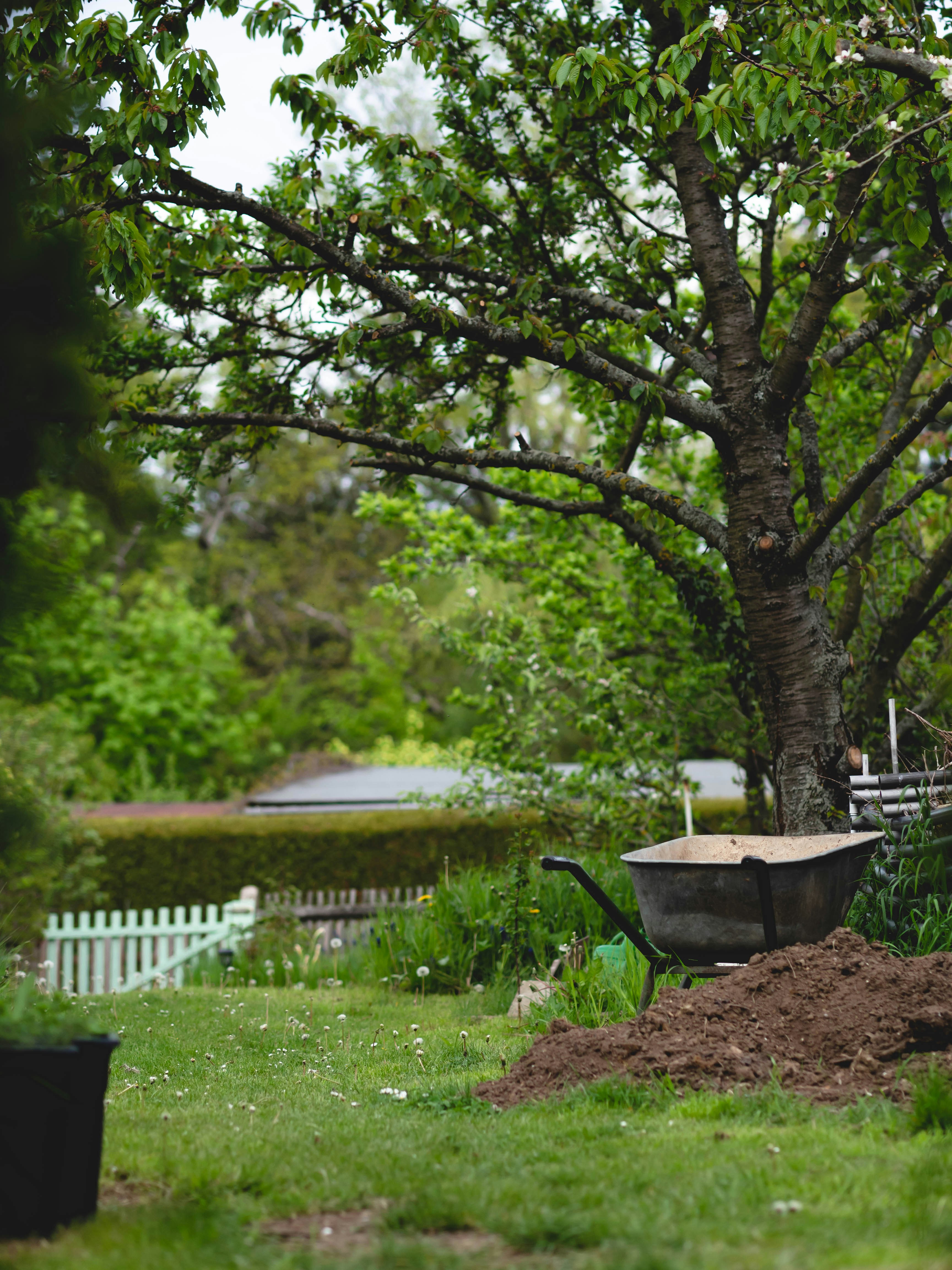 Photo by eileen_kummer