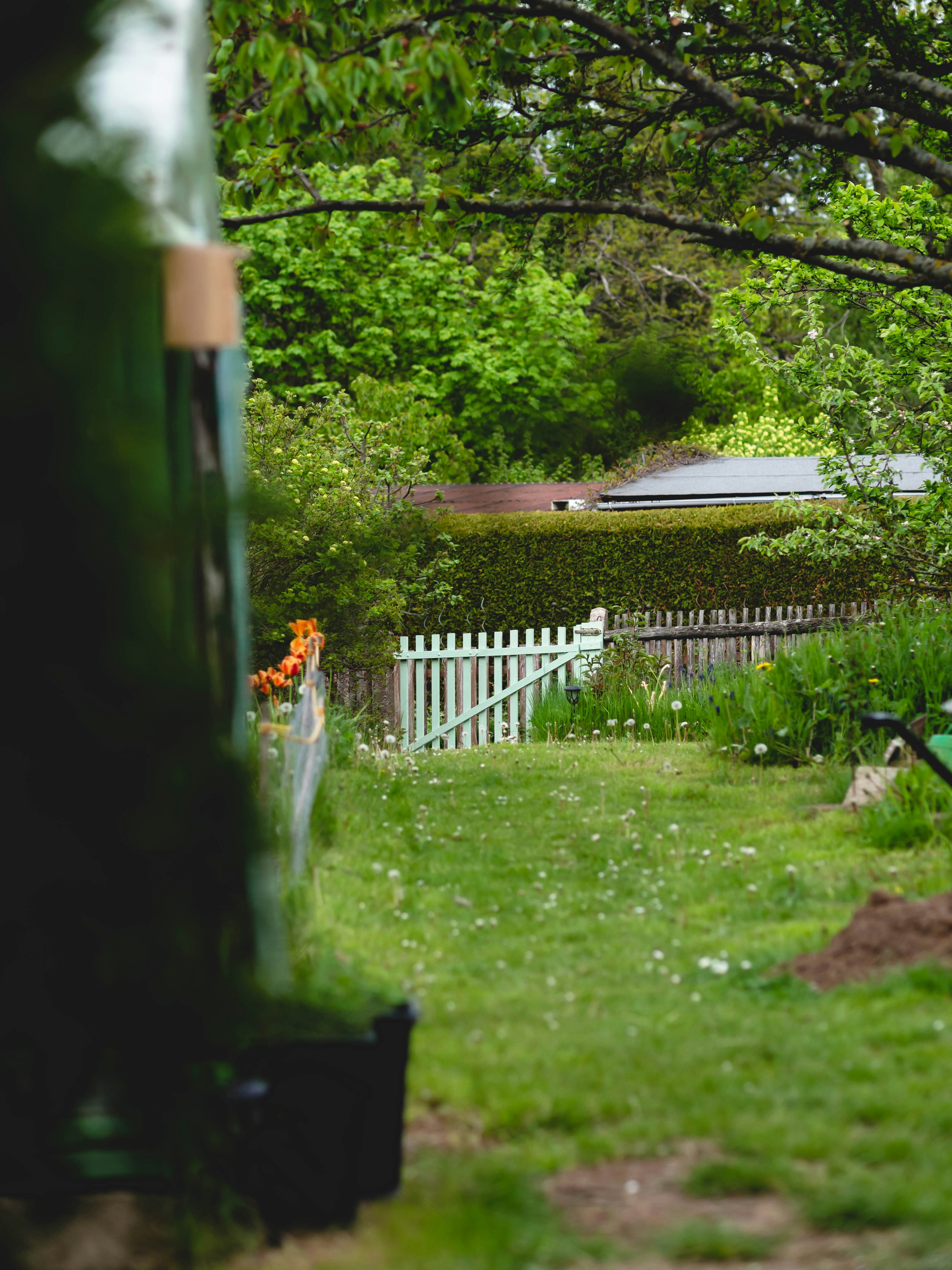 Photo by eileen_kummer