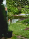 a garden with a white picket fence and green grass