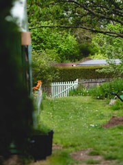 a garden with a white picket fence and green grass