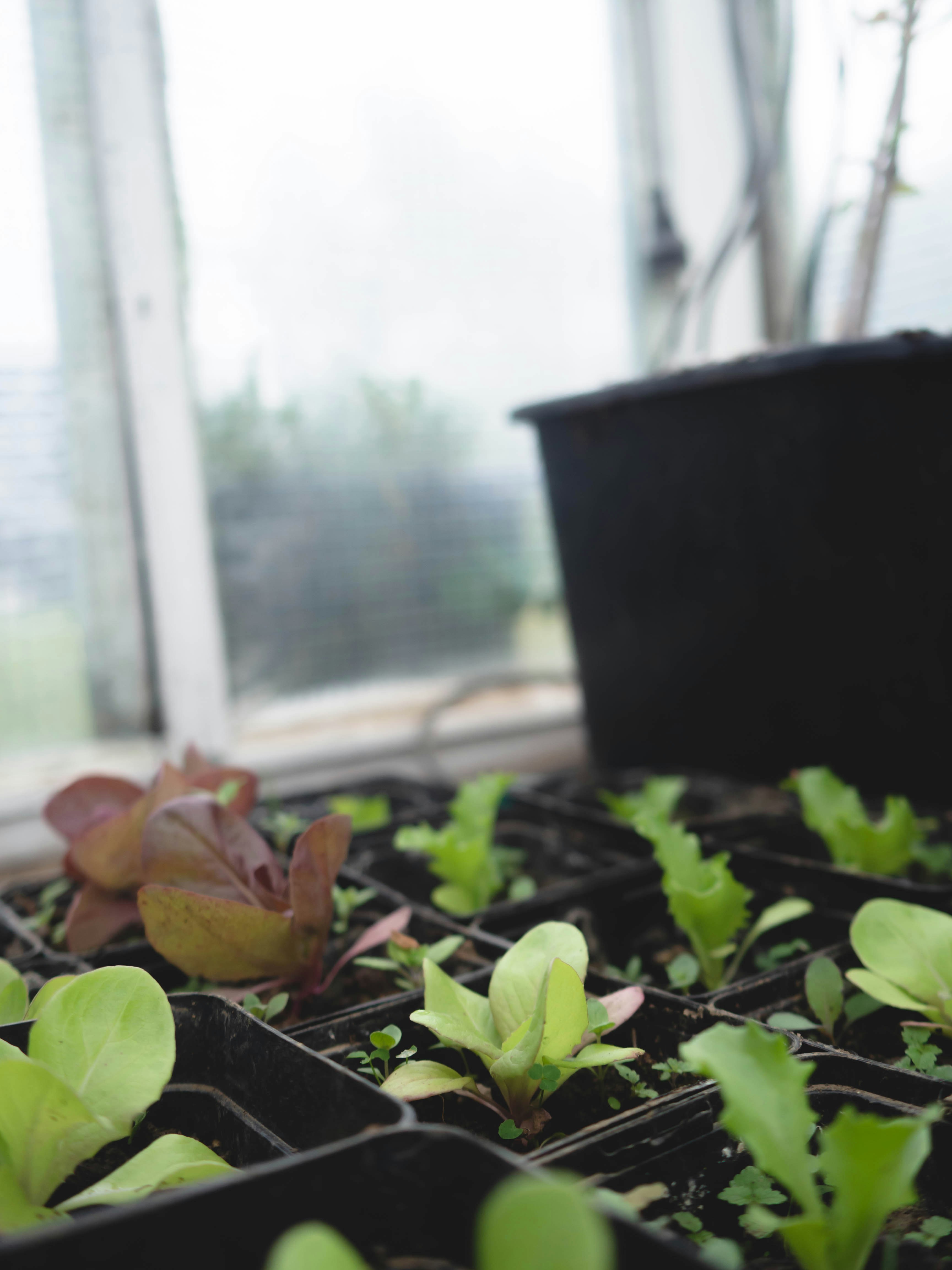 Photo by eileen_kummer